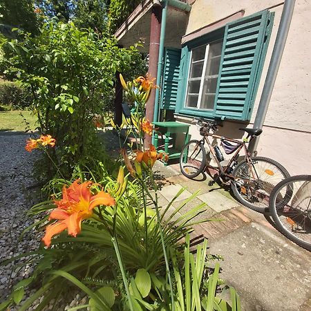 Zen Garden Budha Relax Apartman, parking, BBQ, terrace Siófok Exterior foto