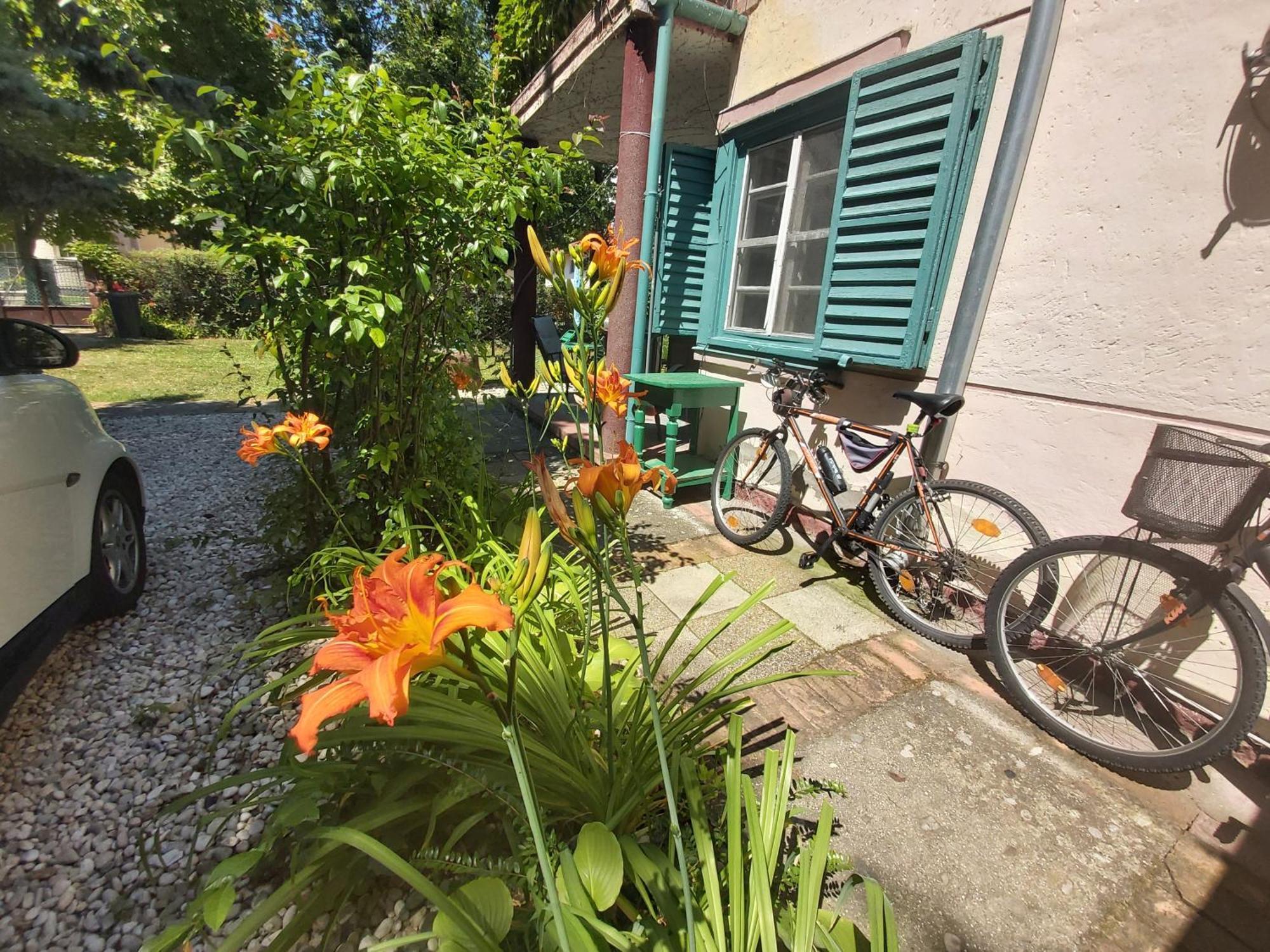 Zen Garden Budha Relax Apartman, parking, BBQ, terrace Siófok Exterior foto
