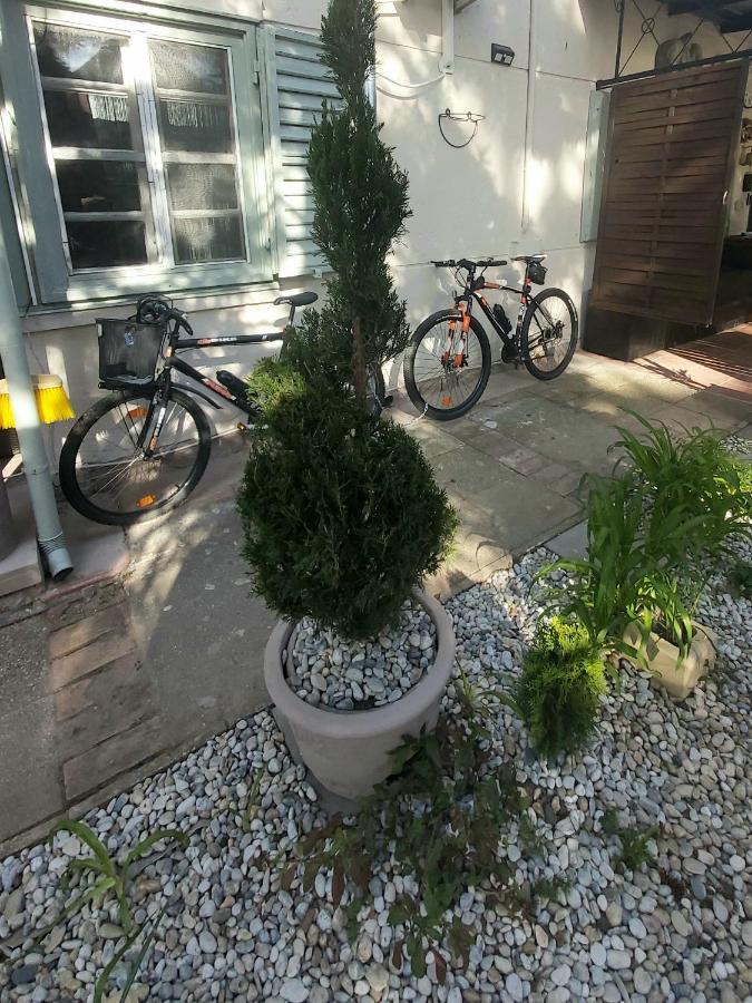 Zen Garden Budha Relax Apartman, parking, BBQ, terrace Siófok Exterior foto