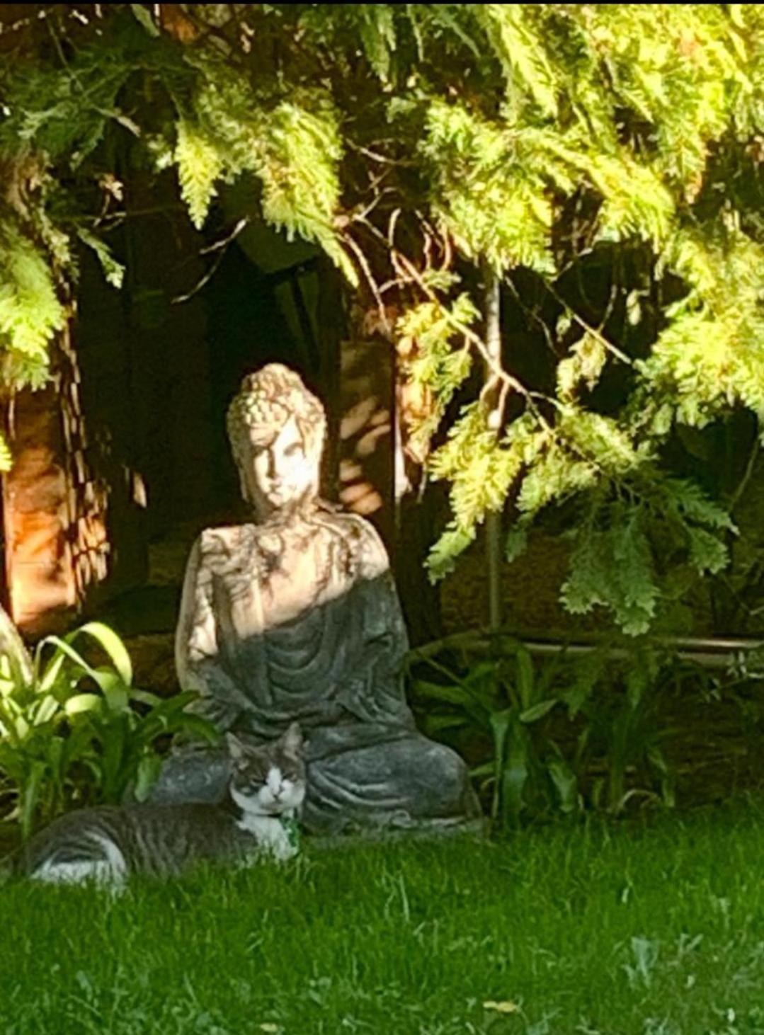 Zen Garden Budha Relax Apartman, parking, BBQ, terrace Siófok Exterior foto