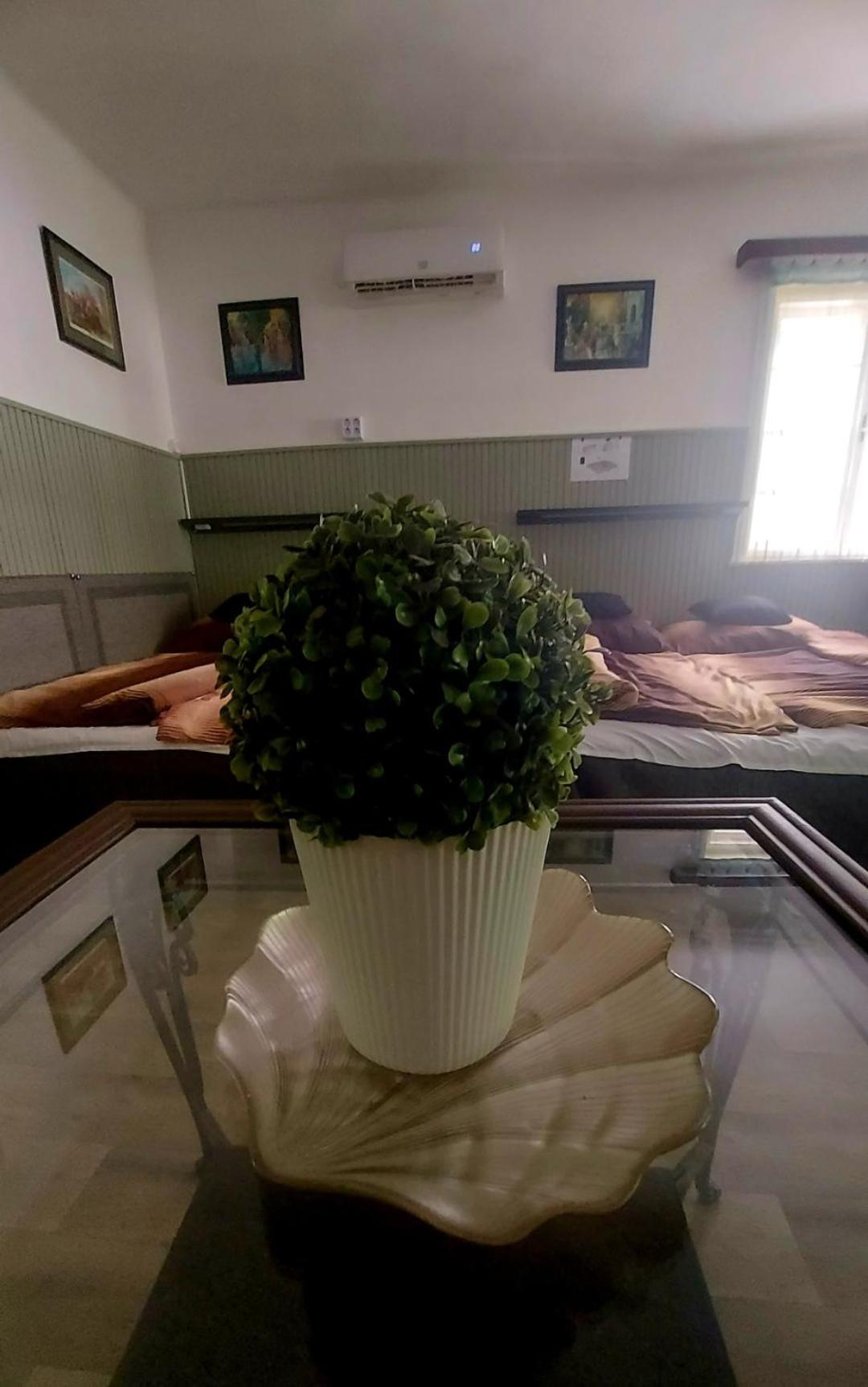 Zen Garden Budha Relax Apartman, parking, BBQ, terrace Siófok Exterior foto